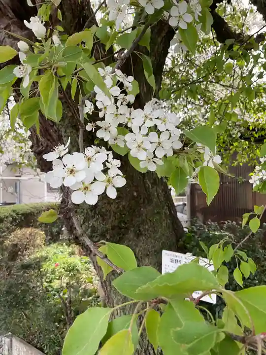 比良賀神社(愛知県)