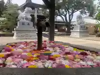 荘内神社の手水舎