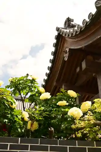 少林寺(埼玉県)