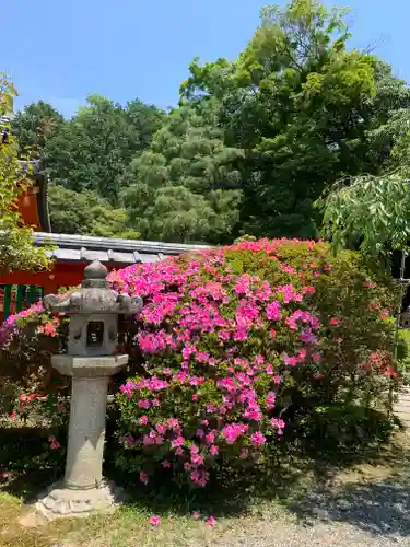 毘沙門堂門跡の自然