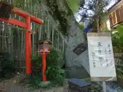 瓊寶庫山本宮(東京都)