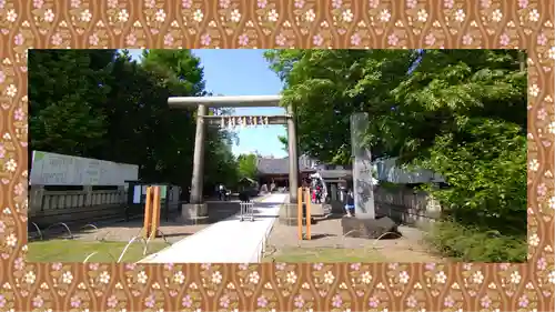 浅草神社の鳥居