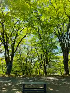 土津神社|こどもと出世の神さまの自然(2022年05月22日(日) 09時44分47秒投稿)