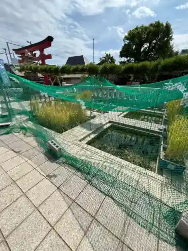 東京羽田 穴守稲荷神社(東京都)
