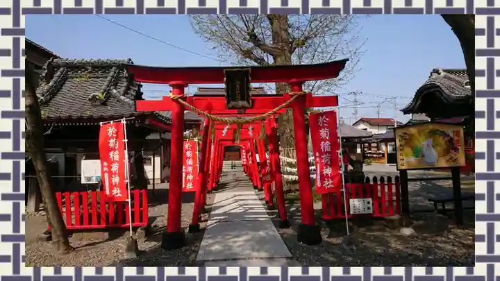 於菊稲荷神社(群馬県)