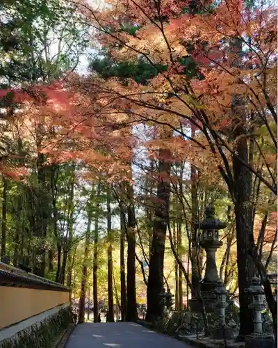 佛通寺の建物その他