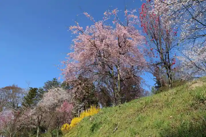 阿久津「田村神社」(郡山市阿久津町)旧社名:伊豆箱根三嶋三社の庭園