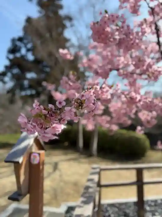根来寺の{uncategorized: "未分類", other: "その他", undefined: "問題あり", building: "その他建物", grave: "お墓", sacred_gate: "鳥居", guardian: "狛犬", statue: "像", buddha: "仏像", history: "歴史", nature: "自然", garden: "庭園", animal: "動物", pagoda: "塔", temizu: "手水舎", mountain_gate: "山門・神門", sanctuary: "本殿・本堂", subordinate: "末社・摂社", art: "芸術", scenery: "景色", jizo: "地蔵", ema: "絵馬", goshuin: "御朱印", omikuji: "おみくじ", items: "授与品その他", amulet: "お守り", goshuincho: "御朱印帳", eats: "食事", festival: "お祭り", votive_dance: "神楽", shichigosan: "七五三参", wedding: "結婚式", experience: "体験その他", initially: "初詣", around: "周辺", anti_infection: "感染症対策"}