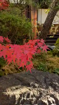 宝蔵寺(京都府)