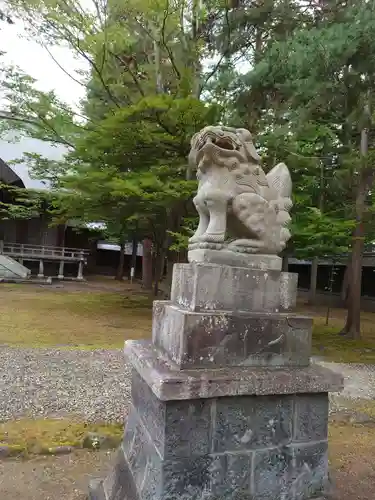 上川神社の狛犬