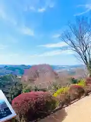 花山院菩提寺(兵庫県)