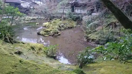 南禅寺の庭園