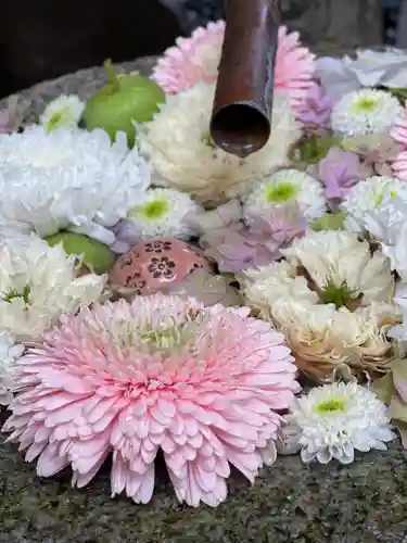 行田八幡神社の手水