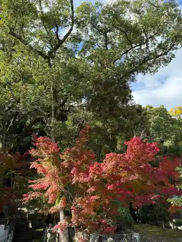 伊勢の国 四天王寺(三重県)