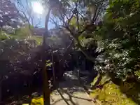 厳魂神社(金刀比羅宮奥社)(香川県)