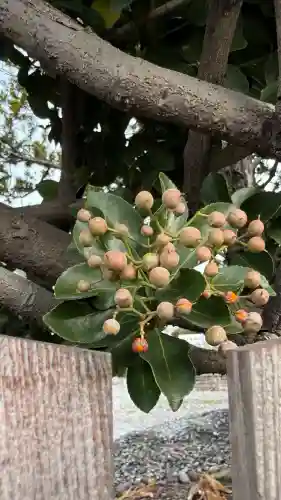 七重浜海津見神社(北海道)
