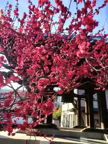 圓照寺(東京都)