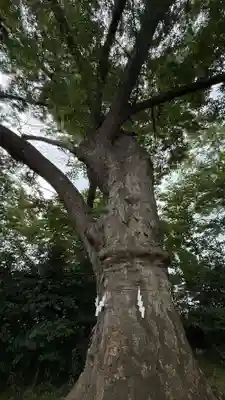 愛宕神社(福島県)