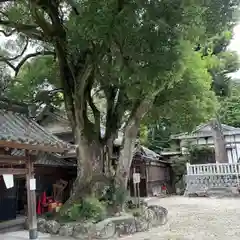 八幡宮（寺部八幡宮）(愛知県)