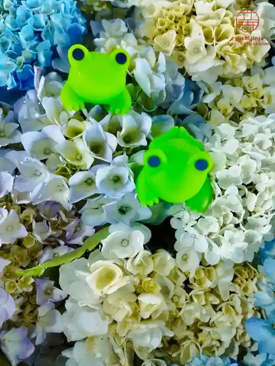 立志神社(滋賀県)