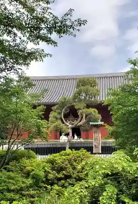 清水観音堂(東京都)