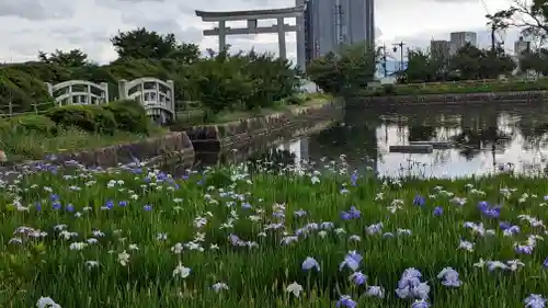 長岡天満宮(京都府)