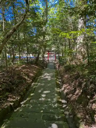 宇佐神宮(大分県)