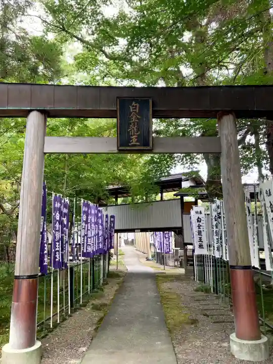 白金龍王社(愛知県)