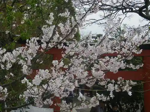 鶴岡八幡宮の自然