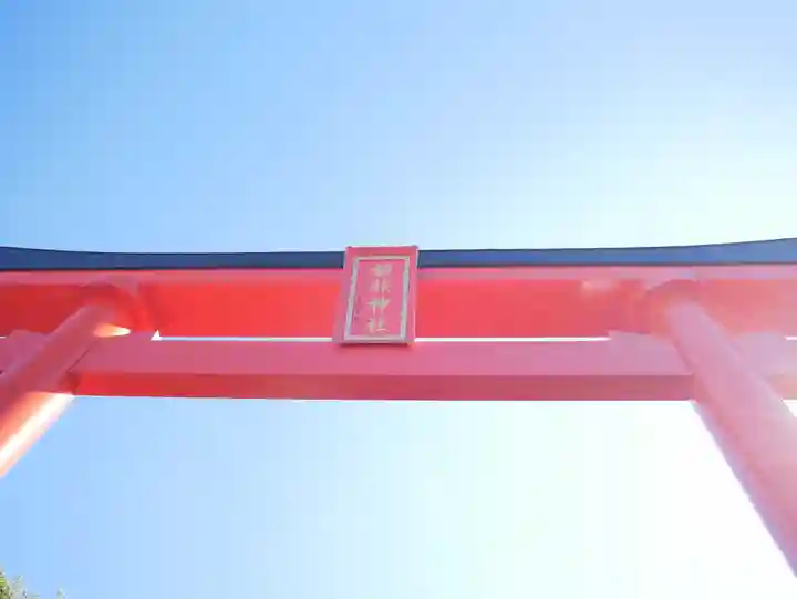 正ノ木稲荷 稲積神社の鳥居