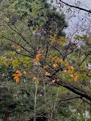 蚊里田八幡宮(長野県)
