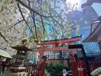 柳森神社の鳥居
