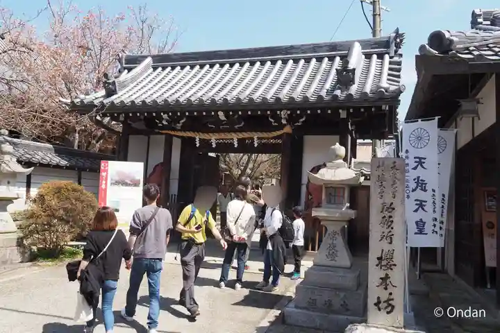 櫻本坊の山門・神門