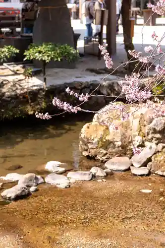 賀茂別雷神社（上賀茂神社）(京都府)