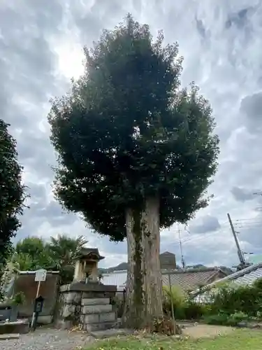 橋寺 放生院の自然