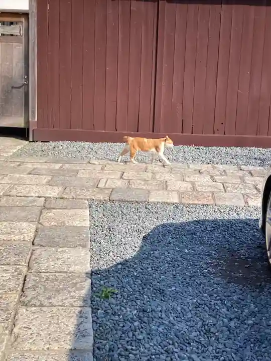 上行寺(神奈川県)
