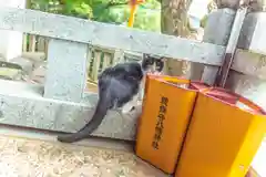 總鎮守八幡神社(愛媛県)