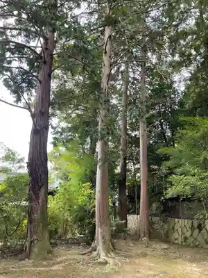 野田神社(山口県)