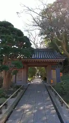 報国寺の山門・神門