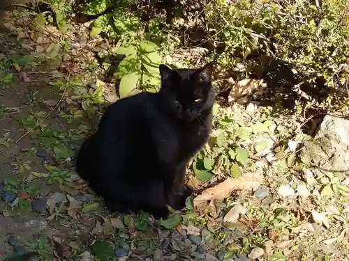 久國神社(東京都)
