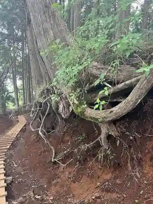 大山阿夫利神社本社(神奈川県)