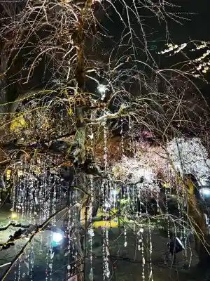 北野天満宮の{uncategorized: "未分類", other: "その他", undefined: "問題あり", building: "その他建物", grave: "お墓", sacred_gate: "鳥居", guardian: "狛犬", statue: "像", buddha: "仏像", history: "歴史", nature: "自然", garden: "庭園", animal: "動物", pagoda: "塔", temizu: "手水舎", mountain_gate: "山門・神門", sanctuary: "本殿・本堂", subordinate: "末社・摂社", art: "芸術", scenery: "景色", jizo: "地蔵", ema: "絵馬", goshuin: "御朱印", omikuji: "おみくじ", items: "授与品その他", amulet: "お守り", goshuincho: "御朱印帳", eats: "食事", festival: "お祭り", votive_dance: "神楽", shichigosan: "七五三参", wedding: "結婚式", experience: "体験その他", initially: "初詣", around: "周辺", anti_infection: "感染症対策"}