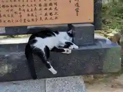 王子神社の動物