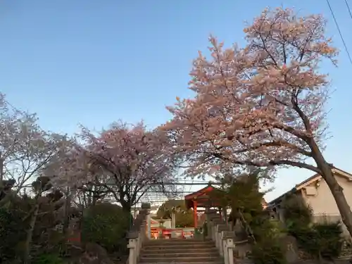 多治速比売神社の自然