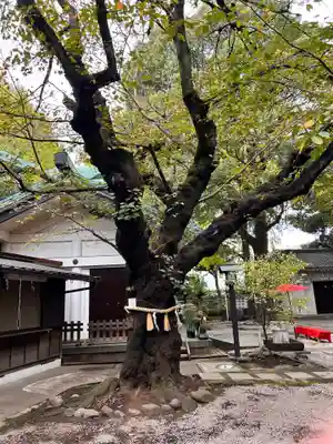 駒込天祖神社(東京都)