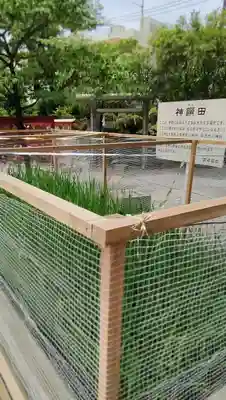 鎮守氷川神社のお祭り