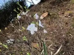 大生郷天満宮の自然