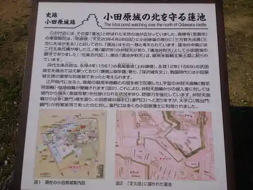 蓮池弁財天社(神奈川県)