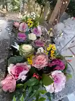 滑川神社 - 仕事と子どもの守り神の手水舎