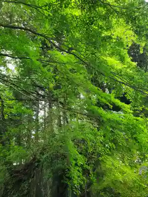 九十九神社の自然